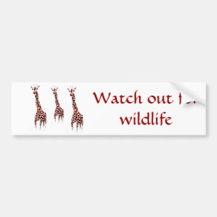 Wildlife Conservation Message Giraffe Bumper Sticker