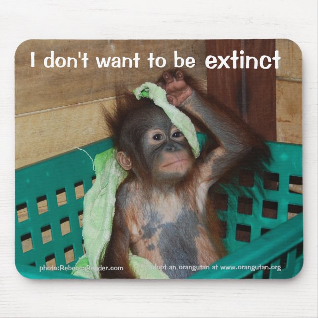 Wildlife Conservation Pouty Baby Mouse Mat (Front)