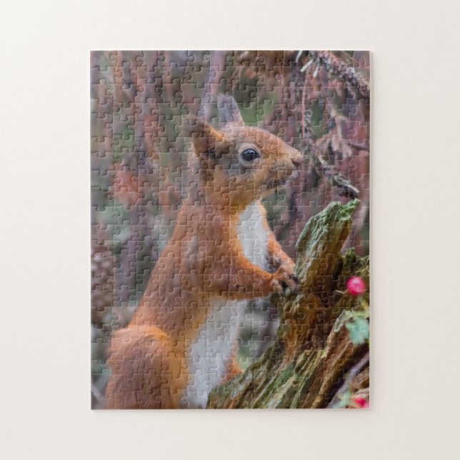 Wildlife Cute red squirrel Jigsaw Puzzle (Vertical)