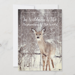 Wildlife Deer In The Snow Winter Holiday Card