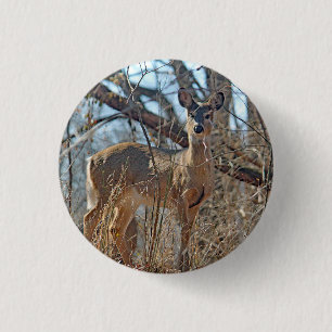 Wildlife Deer Woods Photo 3 Cm Round Badge