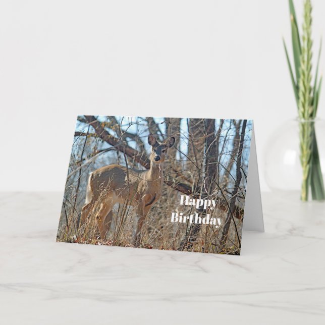Wildlife Deer Woods Photo Birthday Card (Front)