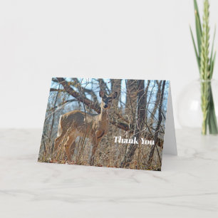 Wildlife Deer Woods Thank You Card