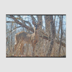 Wildlife Deer Woods  Tissue Paper