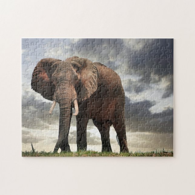 Wildlife Elephant Photo Jigsaw Puzzle (Horizontal)