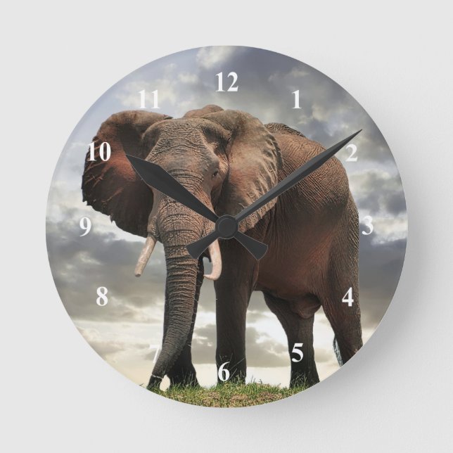 Wildlife Elephant Photo Round Clock (Front)