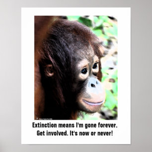 Wildlife Extinction poster