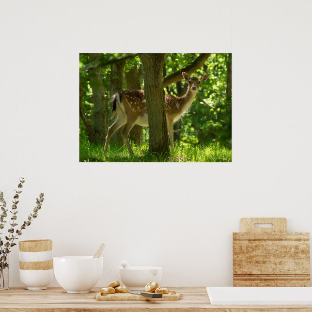 Wildlife Fallow Deer in Forest Among Trees   Poster (Kitchen)