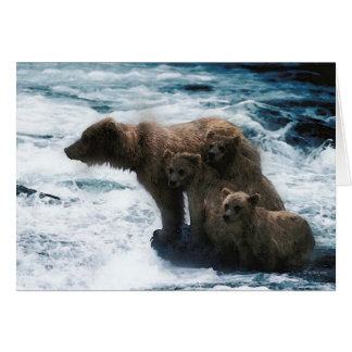 Wildlife-Family of grizzlies
