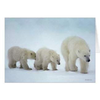 Wildlife-Following Mum