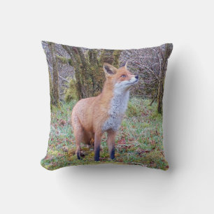 Wildlife Fox Woodland Scene Nature Illustration Cushion