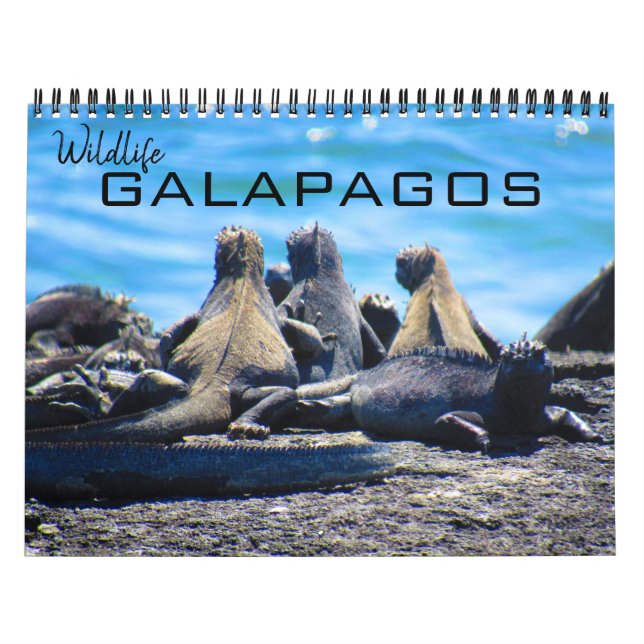wildlife galapagos 2026 calendar (Cover)