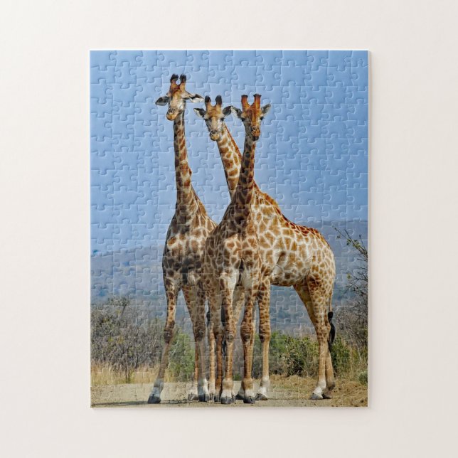 Wildlife Giraffe Herd Photo Jigsaw Puzzle (Vertical)