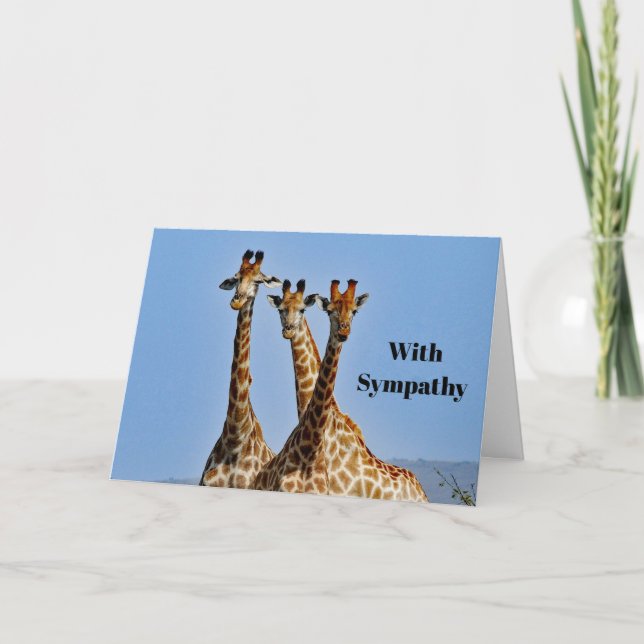 Wildlife Giraffe Herd Photo Sympathy Card (Front)