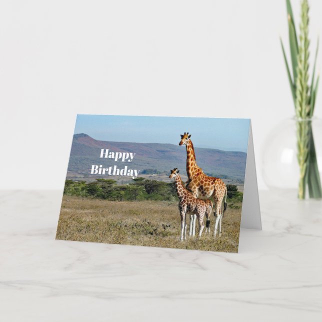 Wildlife Giraffe Mother and Baby Photo Birthday Card (Front)