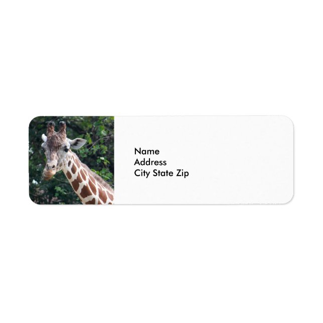 Wildlife Giraffe Photo (Front)
