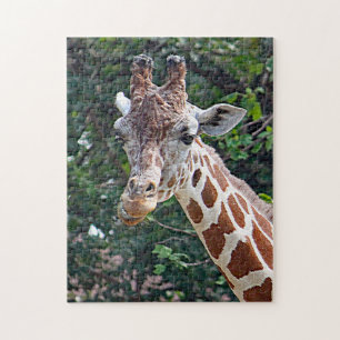 Wildlife Giraffe Photo Jigsaw Puzzle