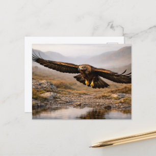Wildlife Golden Eagle Scottish Highlands  Postcard