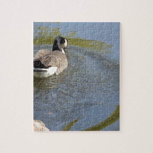 Wildlife Goose swimming in Lake, Water Circle Jigsaw Puzzle (Vertical)