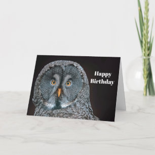 Wildlife Great Grey Owl Birthday Card