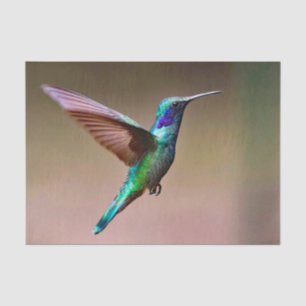 Wildlife Green Hummingbird Photo Tissue Paper
