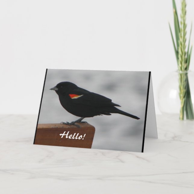 Wildlife Greeting Card (Front)
