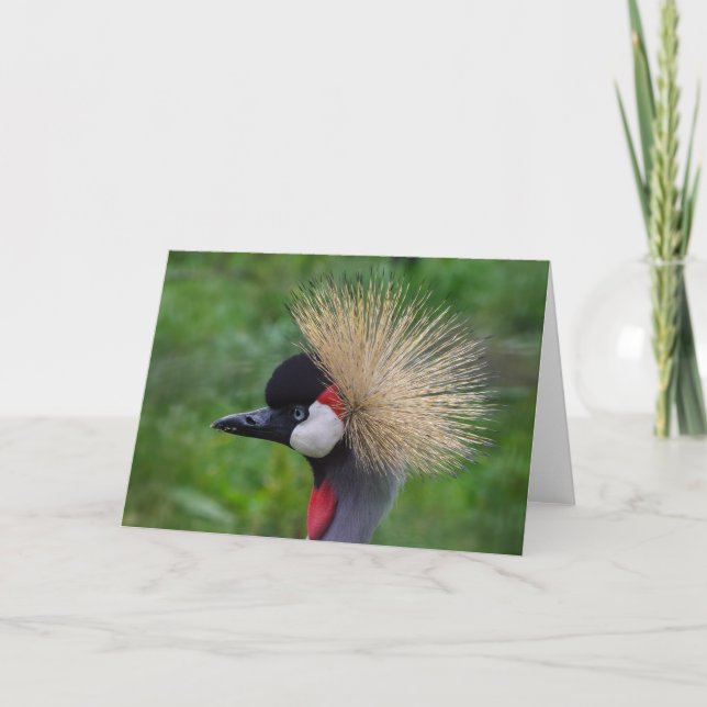 Wildlife greetings card, blank inside. card (Front)