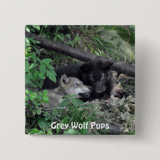 Wildlife Grey Wolf Animal-lover design 15 Cm Square Badge (Front)