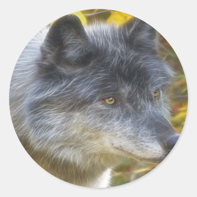 Wildlife Grey Wolf Animal-lover design Classic Round Sticker (Front)