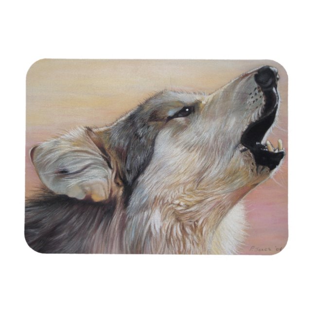 wildlife grey wolf howling against the sunset magnet (Horizontal)