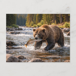 Wildlife Grizzly Bear Catching Fish Postcard