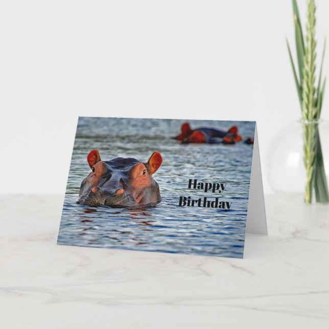 Wildlife Hippo Water Photo Birthday Card (Front)