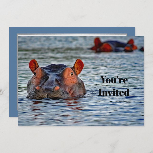 Wildlife Hippo Water Photo Birthday Invitation (Front/Back)