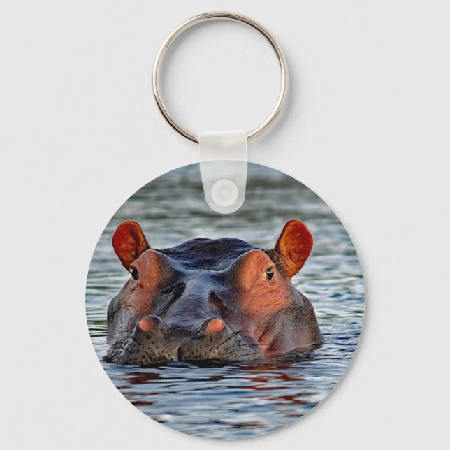 Wildlife Hippo Water Photo Key Ring (Front)
