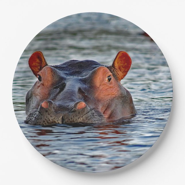 Wildlife Hippo Water Photo Paper Plate (Front)