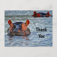 Wildlife Hippo Water Photo Thank You