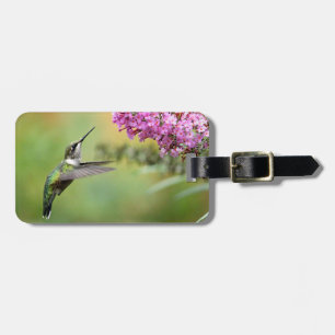 Wildlife Hummingbird Floral Photo Luggage Tag