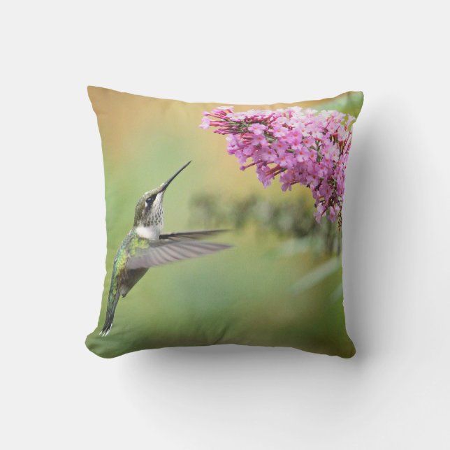 Wildlife Hummingbird Floral Photo Outdoor Cushion (Front)