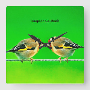 Wildlife images for Square-Wall-Clock Square Wall Clock