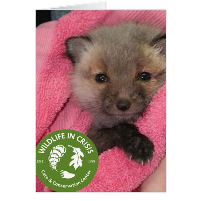 Wildlife in Crisis (Front)