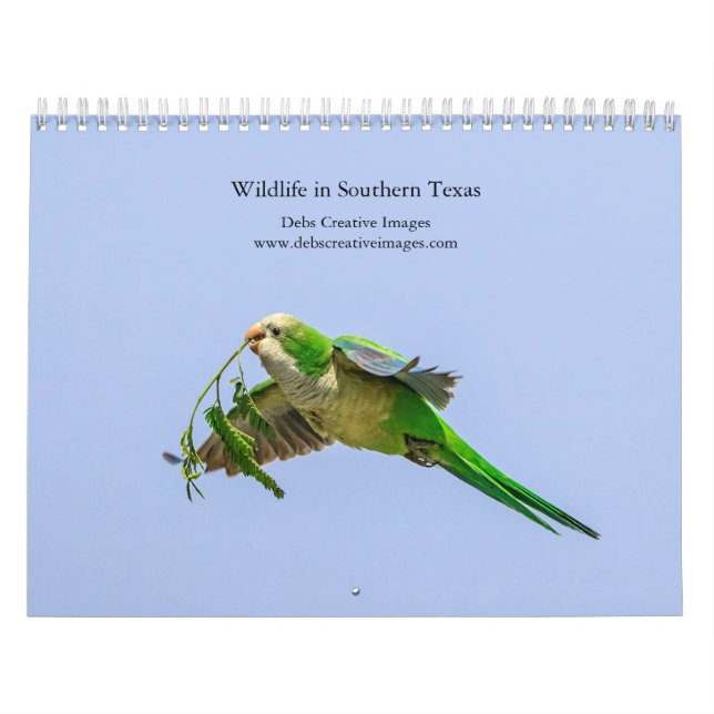 Wildlife in Southern Texas, 2026 Calendar (Cover)