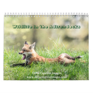 Wildlife in the Adirondacks Calendar 2025