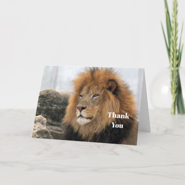 Wildlife Lion Photo Thank You Card (Front)