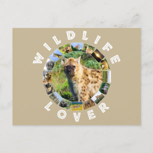 Wildlife Lover Spotted Hyena Postcard