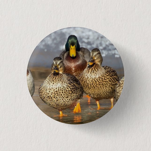 Wildlife Mallard Ducks Photo 3 Cm Round Badge (Front)