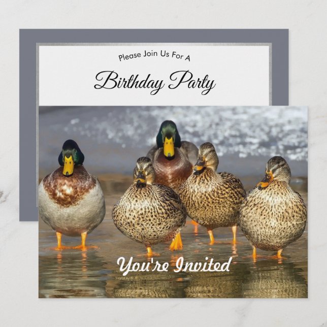 Wildlife Mallard Ducks Photo Birthday Invitation (Front/Back)