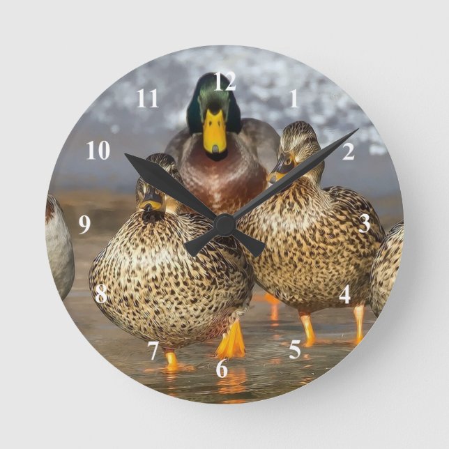 Wildlife Mallard Ducks Photo Round Clock (Front)