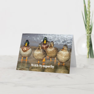 Wildlife Mallard Ducks Photo Sympathy Card