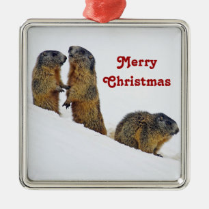 Wildlife Marmots Snow Photo Christmas Metal Tree Decoration
