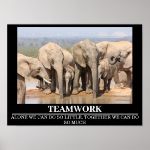 Wildlife Motivational Posters Elephant Teamwork